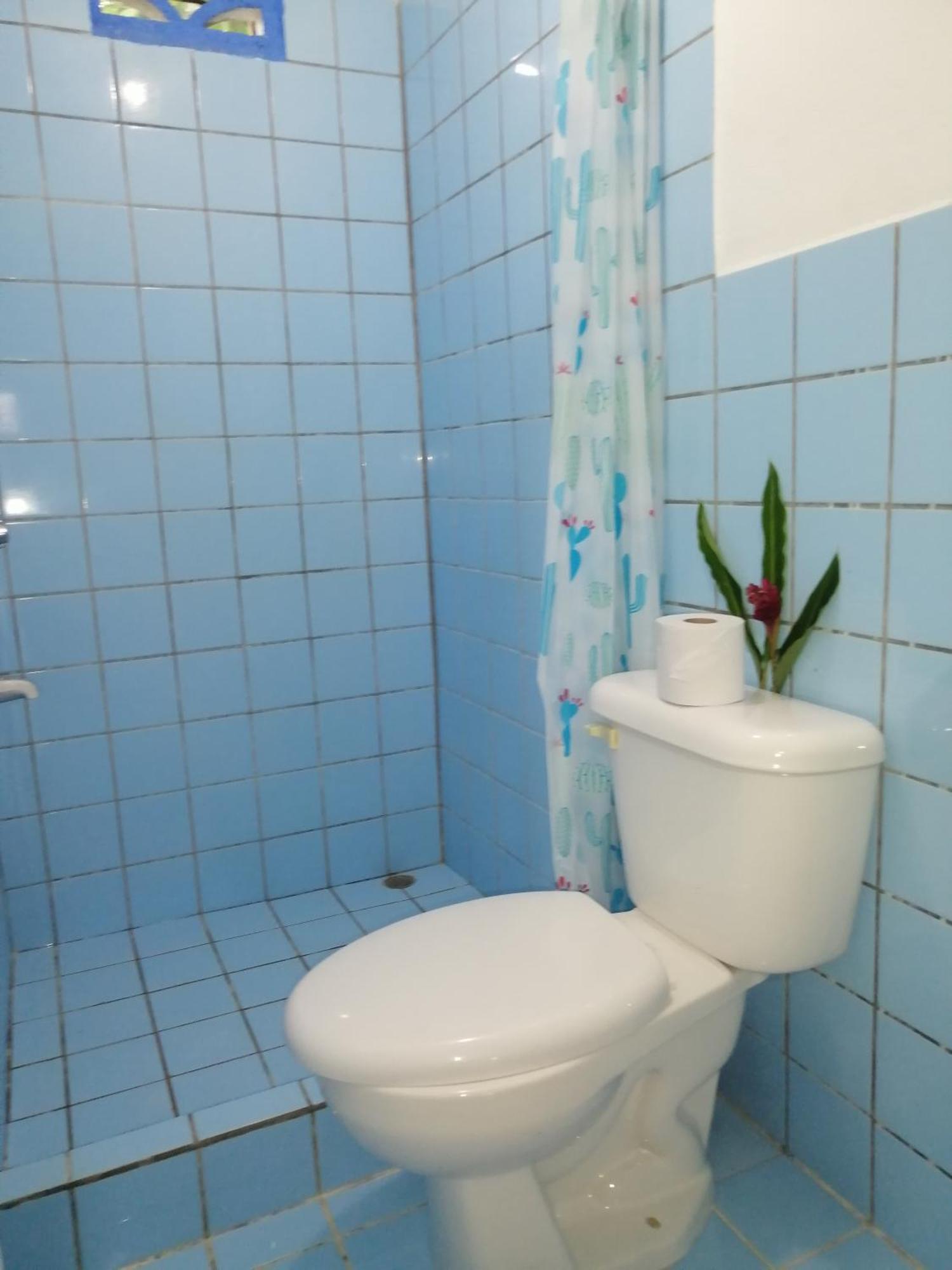Rooms Palmeras Кауита Экстерьер фото